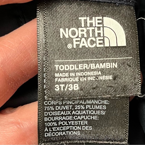 The North Face Toddler down puffer coat 3T - Picture 2 of 5